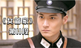 女管家电视剧剧情介绍,宫廷风云下的逆袭传奇