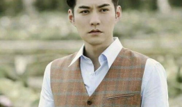 严屹宽电视剧大全,从古装剧到现代剧，演绎百变人生